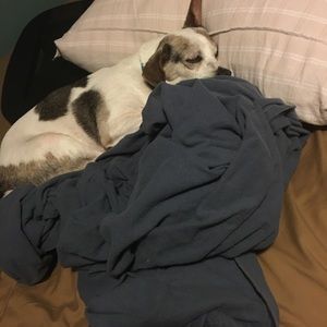 Meet your Posher, Alegna1990